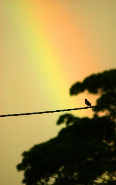 img_7921.jpg
